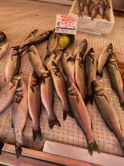 Casa Del Pescatore Di Ortigia Siraküza Dış mekan fotoğraf